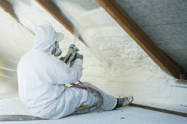 Types of Insulation We Offer in Boulevard Gardens, FL